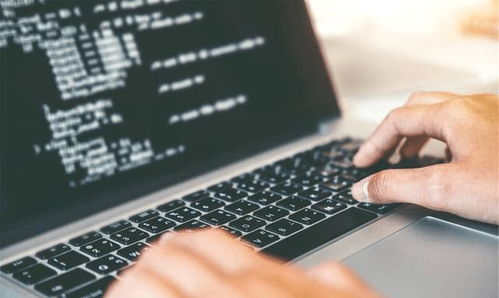 重點(diǎn)大學(xué)計(jì)算機(jī)專業(yè)學(xué)生，考研還是就業(yè)？