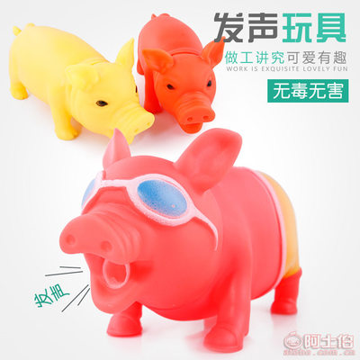 萌寵解壓新寵 義烏妙迪“寵太郎T”發(fā)聲發(fā)泄豬玩具測評(píng)